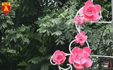 Đẹp mê mẩn với các mẫu đèn trang trí trên đường phố Hà Nội
